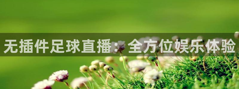 松鼠平台：无插件足球直播：全方位娱乐体验