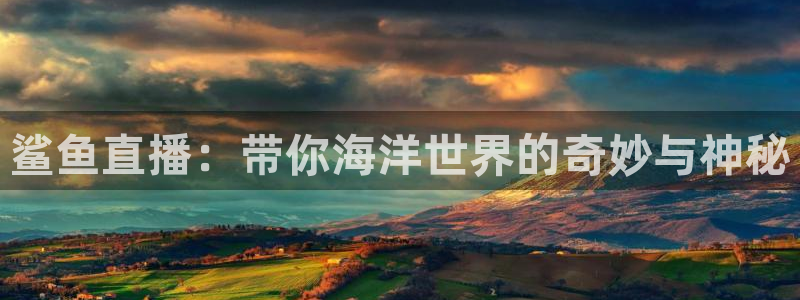 松鼠休闲游戏官网：鲨鱼直播：带你海洋世界的奇妙与神秘