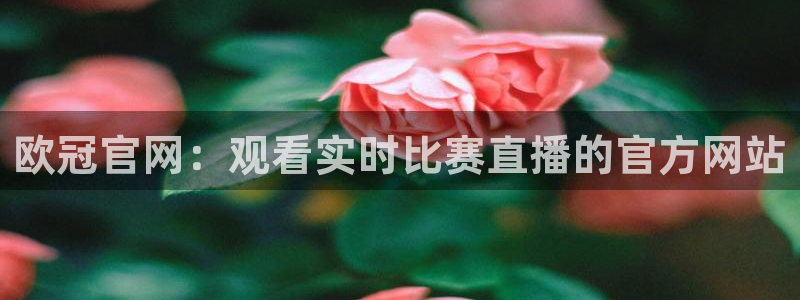 松鼠直播tv：欧冠官网：观看实时比赛直播的官方网站