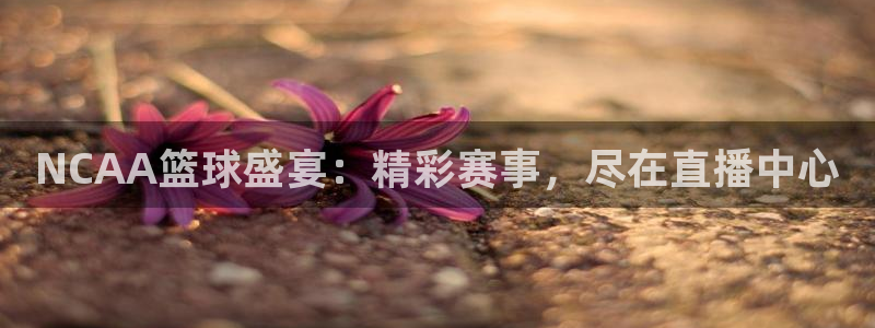 松鼠体育在线直播：NCAA篮球盛宴：精彩赛事，尽在直播中心