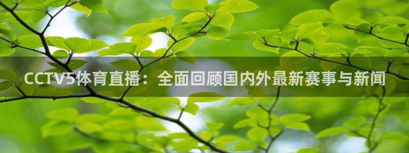 松鼠直播nba：CCTV5体育直播：全面回顾国内外最新赛事与新闻