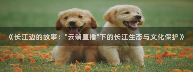 松鼠官方网站：《长江边的故事：\